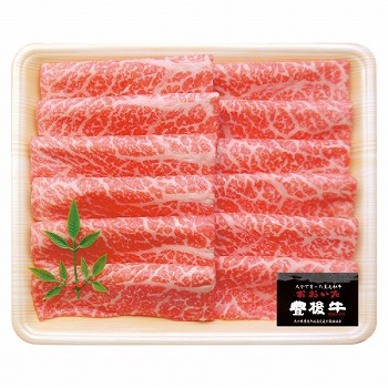  L㍕јa Ԃԗp (PBC-55)